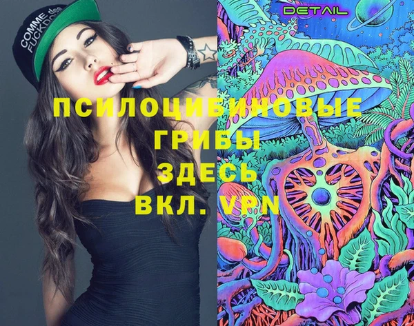 трава Наволоки