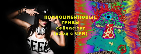 трава Наволоки