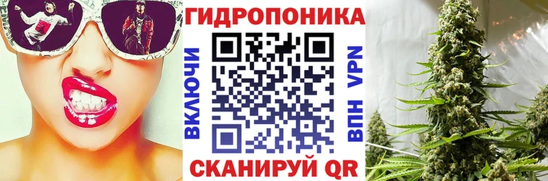Каннабис марихуана Шенкурск